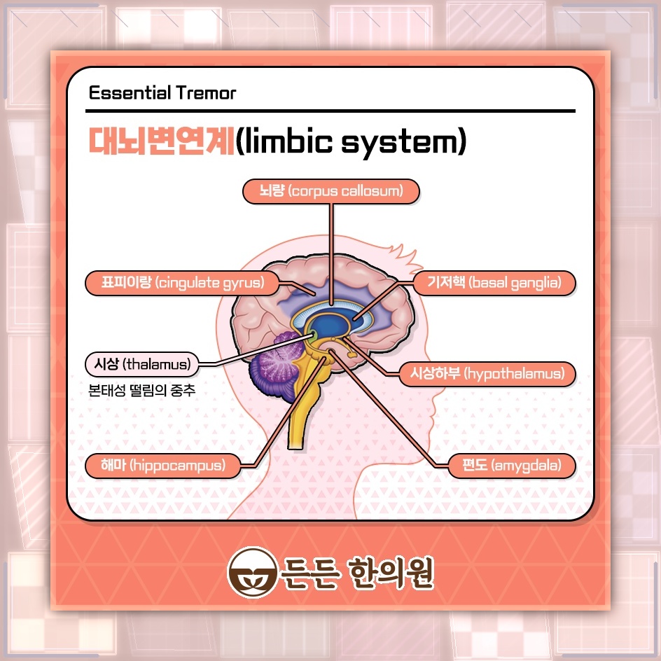 반복되는 손떨림, 본태성떨림 여부를 살펴보는 과정